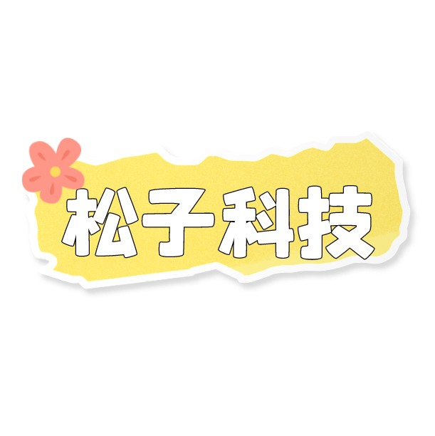 安庆松子电子科技有限公司